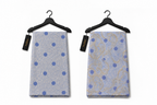 Celestial Blue Silk & Chiffon Set