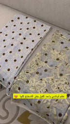 Silk & Chiffon Set